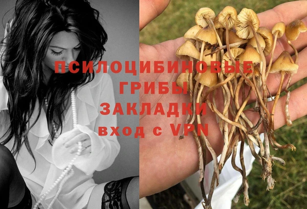 МДПВ Белокуриха