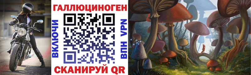 Купить где  Бавлы  Псилоцибиновые грибы GOLDEN TEACHER 