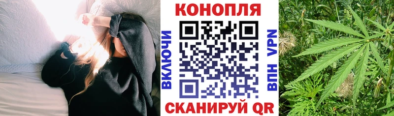 Купить  Бавлы  Конопля сатива 